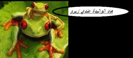 rakom 3arfin adarri ahbil achwaya